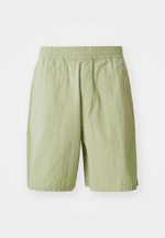 Carhartt WIP TOLAND  - Шорты - Зелёный