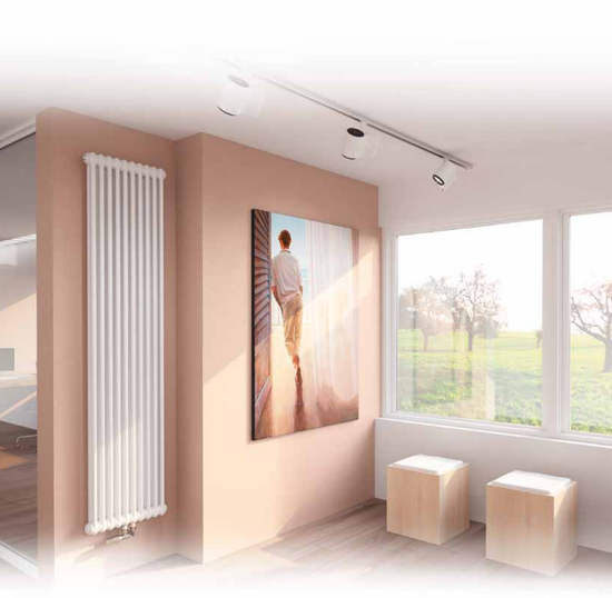 Радиатор Arbonia 2180 - 8 секций боковое подключение №12, 3/4", RAL 9016 (белый)