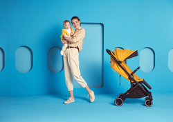 Детская прогулочная коляска Anex AIR-X Ax-04/L yellow