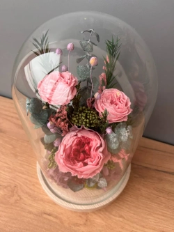 натуральные пионы в колбе