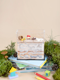 Муравьиная ферма "ДРЕВЕСНАЯ" декор + корм (170*170*65мм)