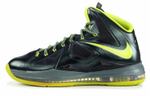 Кроссовки Nike Lebron 10 Dunkman