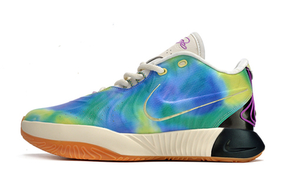 Nike LeBron 21 Multicolor