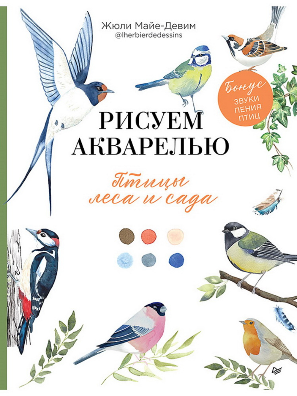 Рисуем акварелью: птицы леса и сада