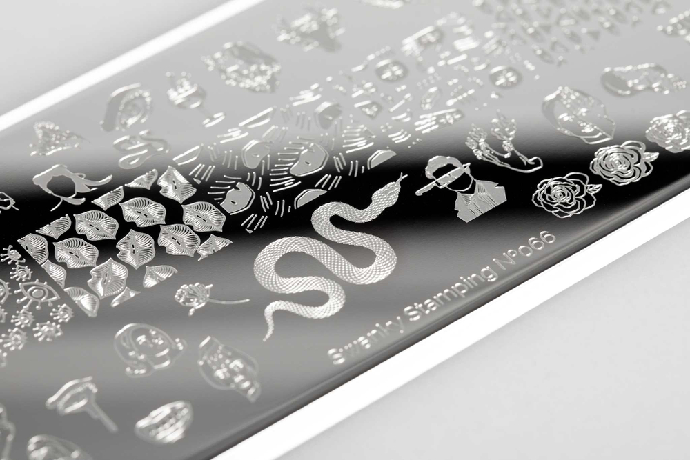 Пластина Swanky Stamping 066