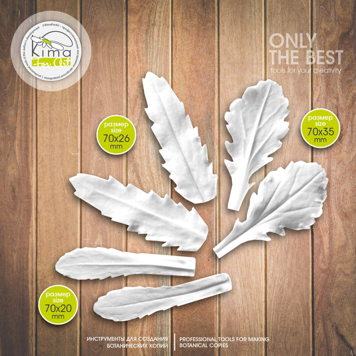 Ромашка листья