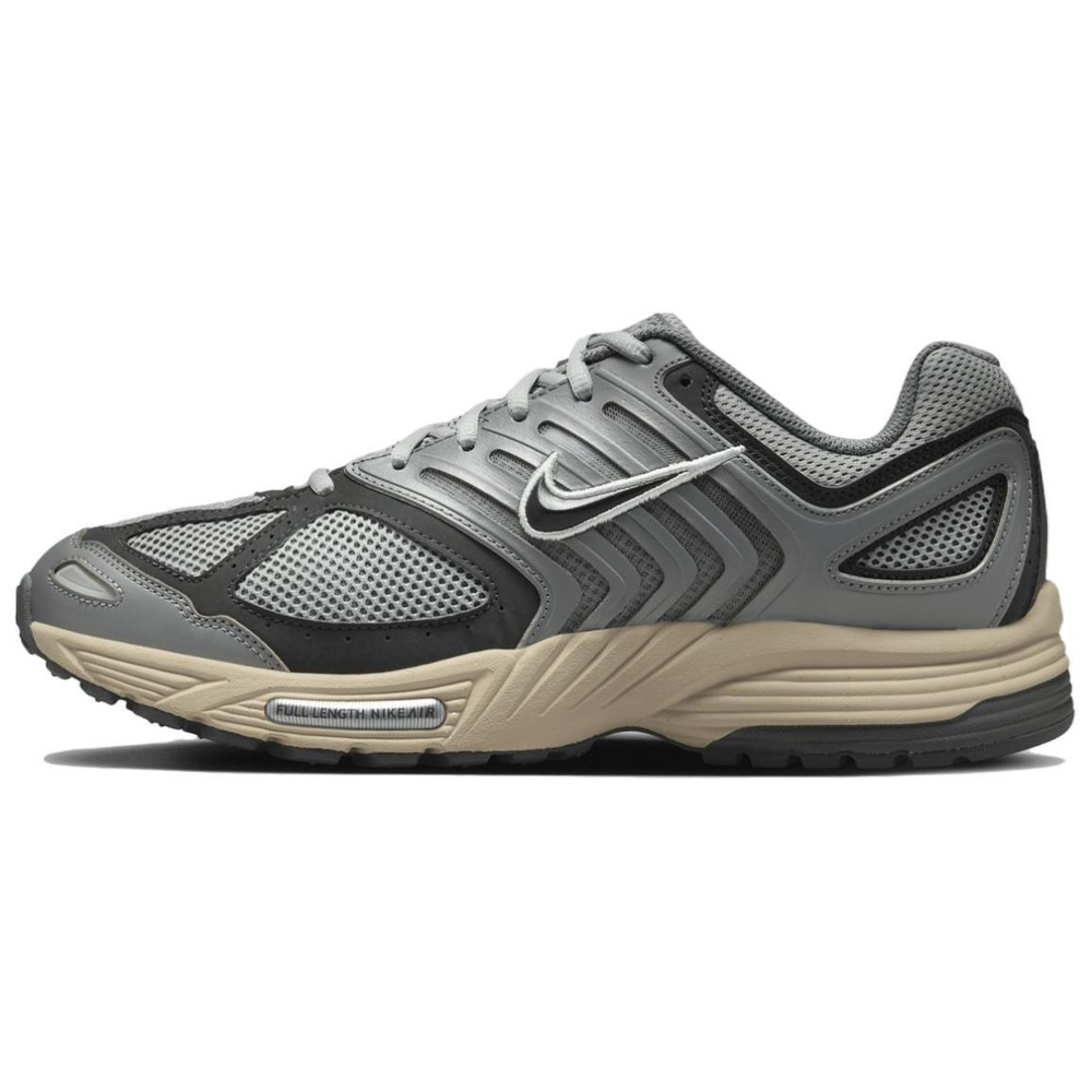 Кроссовки Nike Air Pegasus 2005