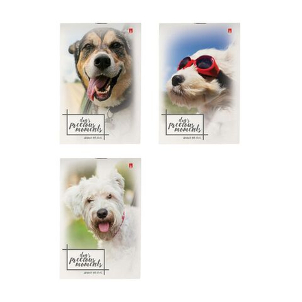 Блокнот А6 40л скоба "Щеночки" клетка, ассорти