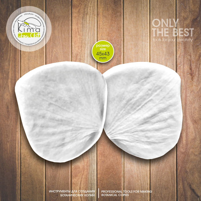 Морозник лепесток крупный