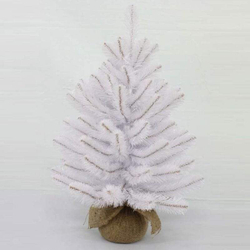 Ель 45 см Triumph Tree Атлантическая в мешочке Голландия детали