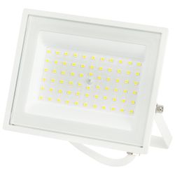 Прожектор светодиодный уличный ЭРА LPR-023-W-65K-050 50Вт 6500K IP65 гарантия 2 года белый | 