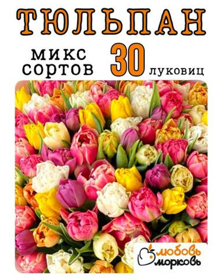 Тюльпан Луковица, Микс сортов, 30 шт (Любовь морковь)