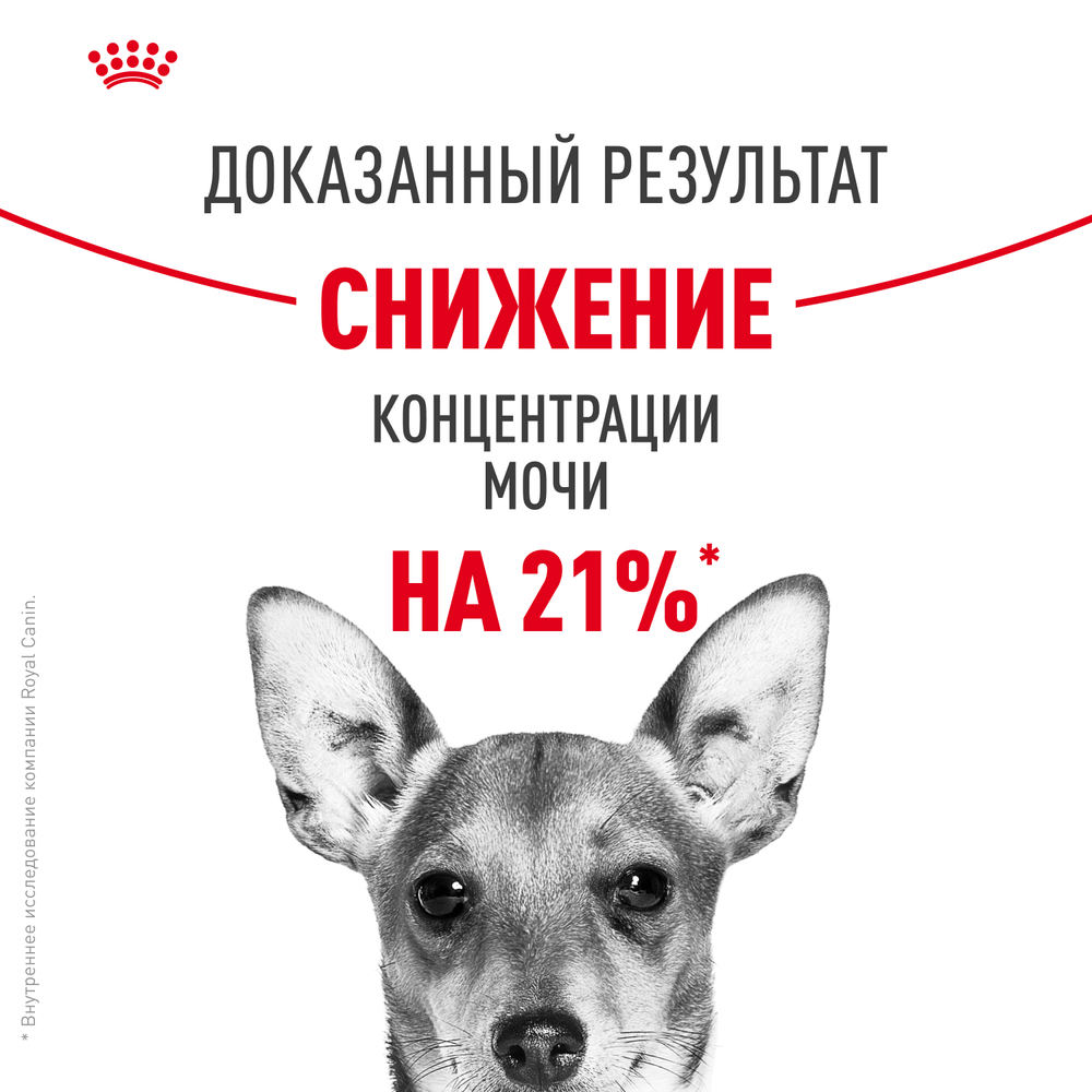 Royal Сanin Mini Urinary Care Мини Уринари Кэа Корм сухой диета для собак мелких размеров с чувствительной мочевыделительной системой 1кг