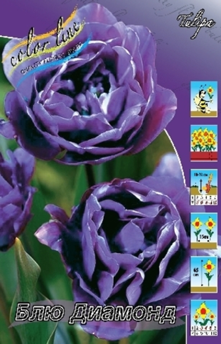 Капуста к/к Калибос Семко