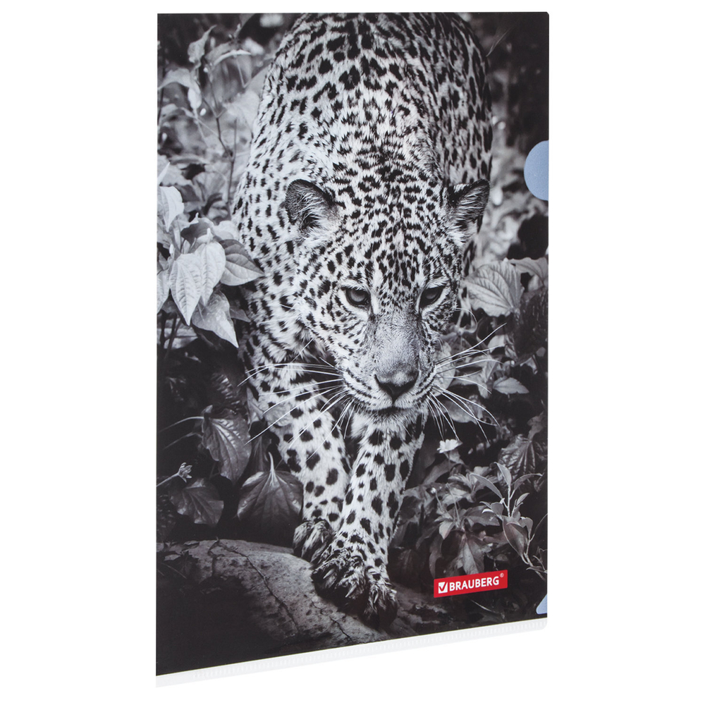 Папка-уголок BRAUBERG "LEOPARD" А4 150 мкм цветная печать (12 штук в упаковке)
