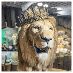 Реплика головы «Африканский лев» король