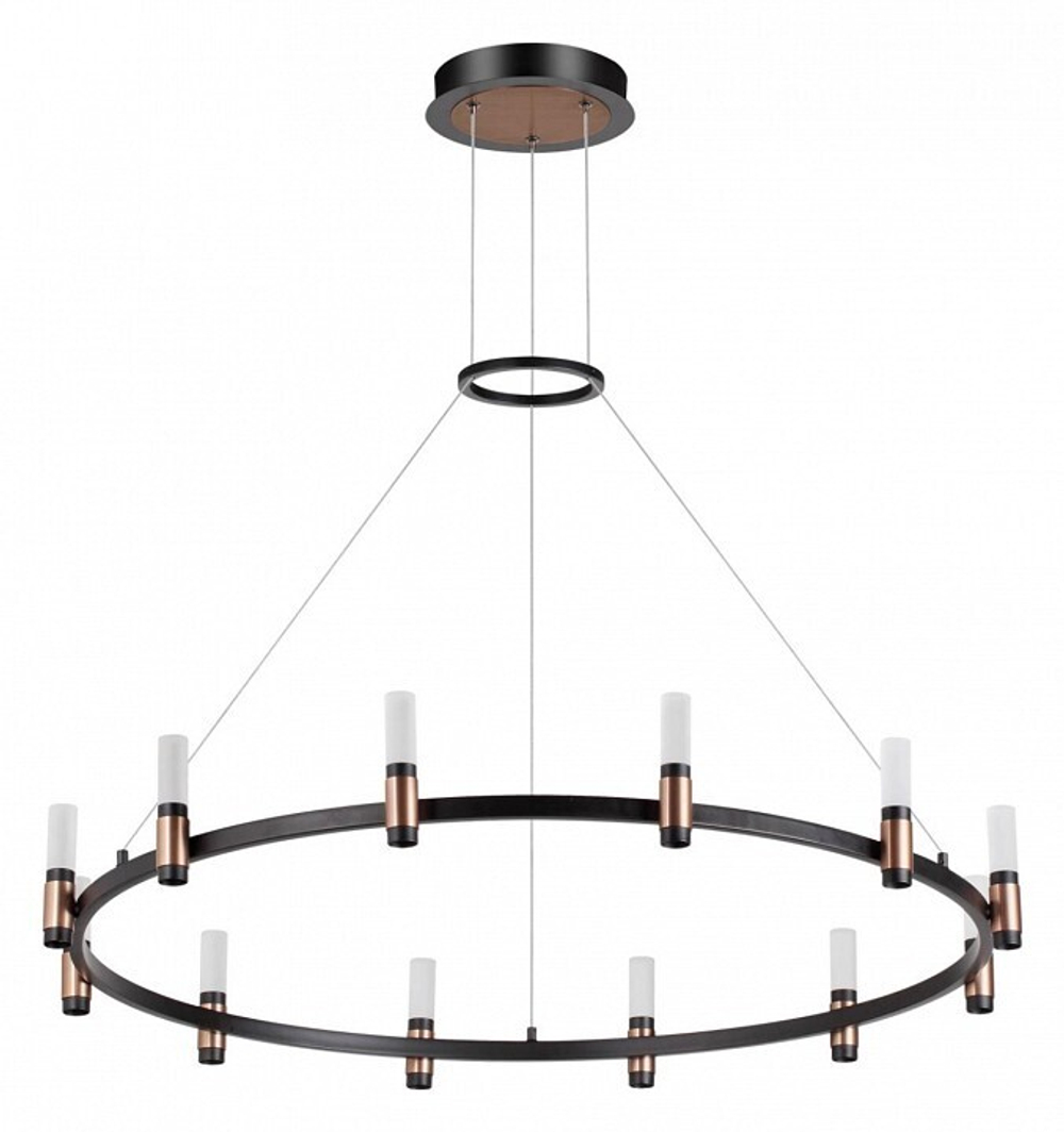 Подвесная люстра Odeon Light 5009/48L