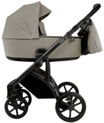 Детская коляска Roan Bass Next 2.0 3 в 1 с автокреслом Tutis Elo Lux EduSky Black BSN/41/2 Hazel/Black/руч.Black