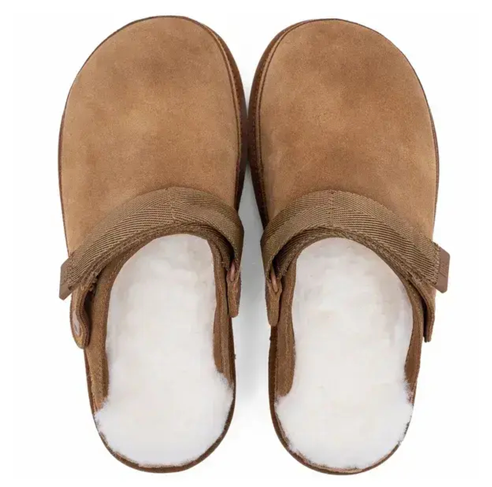 UGG Goldenstar Clog Chestnut