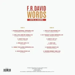 F. R. David - Words Hits & More LP