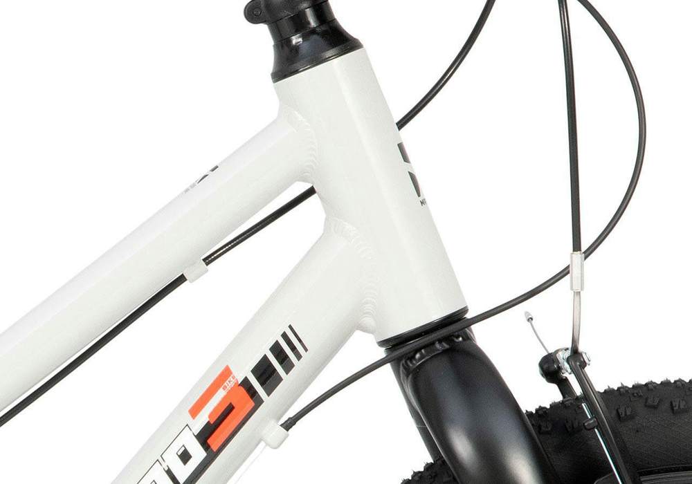 Детский велосипед Maxiscoo 3Bike 20'' Girl (2025)