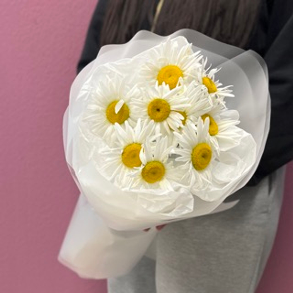 Букет "Ромашка одноголовая" #77