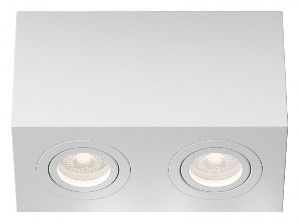 Накладной светильник Maytoni Technical C017CL-02W