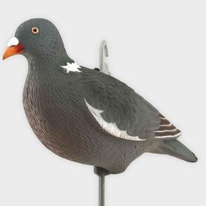 Чучела голубей