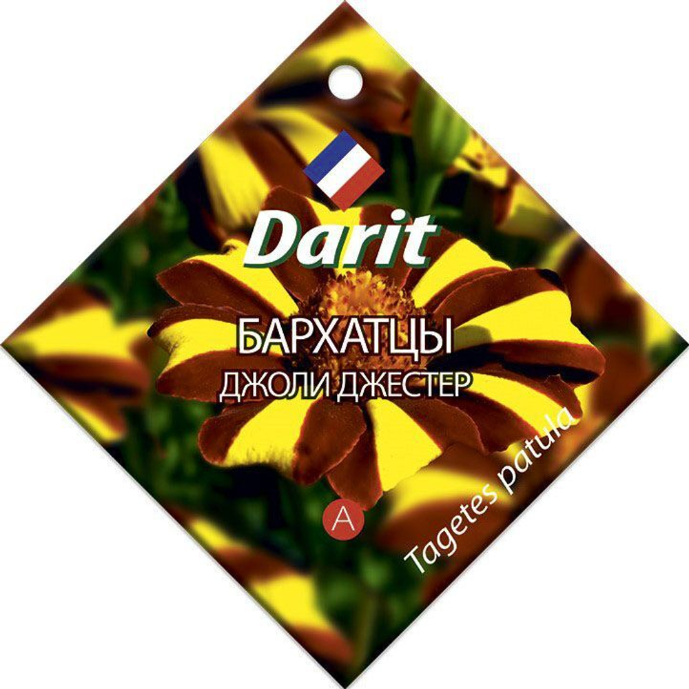 Бархатцы отклоненные Джоли Джестер, семена Дарит 0,3г (300)