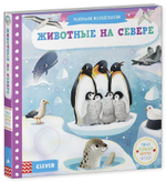 Тяни, толкай, крути, читай. Животные на севере