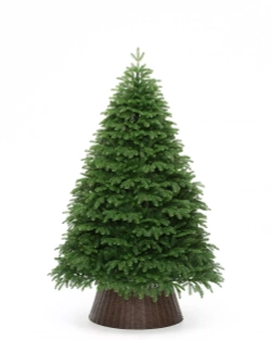 Искусственная елка Дворянская 270 см., 100% литая хвоя, ЕлкиТорг (93270)