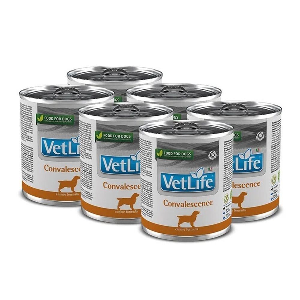 Консервы FARMINA Vet Life Dog Convalescence для собак в период восстановления (паштет) - 6х300 гр