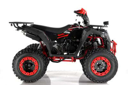 Квадроцикл WELS ATV THUNDER 200 EVO X