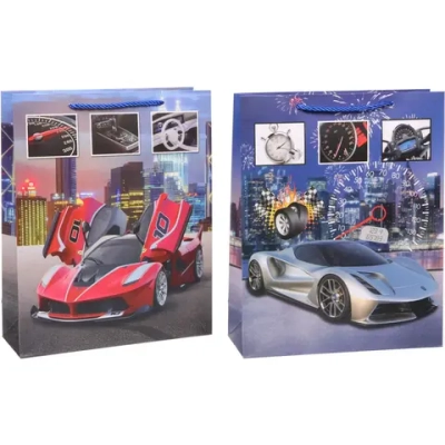 Пакет подарочный «Гонка» 26*32*10 см, микс