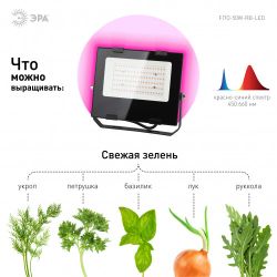 Фитопрожектор для растений светодиодный ЭРА FITO-50W-RB-LED для цветения и плодоношения красно-синего спектра 50 Вт