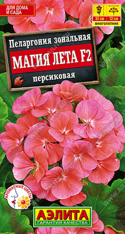 Пеларгония Магия лета F2 персиковая 5 шт (Аэлита)