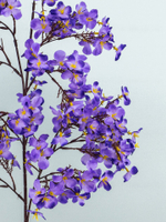 Ветка цветущая яблоня фиолетовая