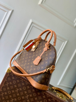 Louis Vuitton Alma MM Soft