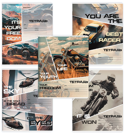 Тетрадь А5 24л. клет. "Auto-moto" обложка картон (BRAUBERG)