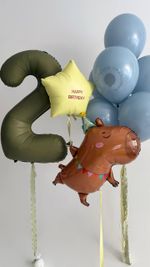 Воздушные шары Капибара для мальчика №9042