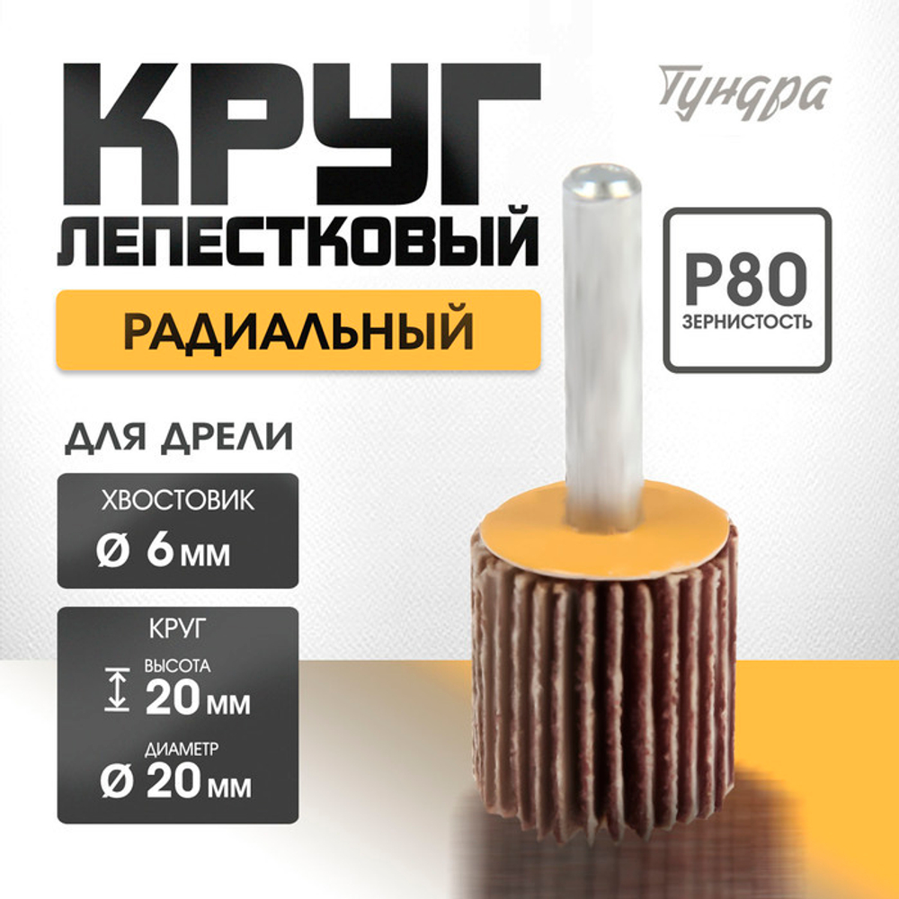 Круг лепестковый радиальный ТУНДРА, 20×20×6 мм, Р80