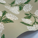 Rifle Paper Co. Second Edition