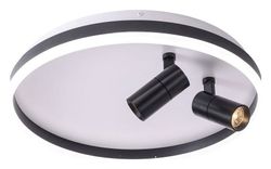Накладной светильник Zortes Raizy ZRS.1888.01