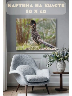 Картина на стену 40 X 50 Кукушка калифорнийская