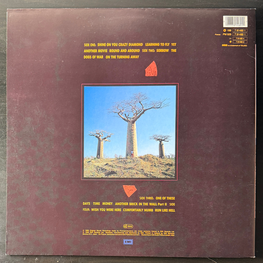 Pink Floyd - Delicate Sound Of Thunder 2LP (Европа 1988г.)