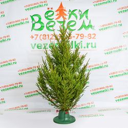 Фотогалерея