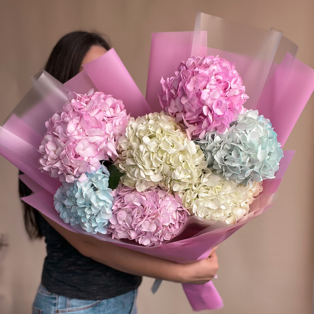 Разноцветные гортензии 7 шт