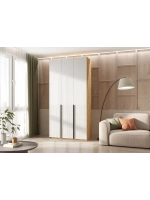 Шкаф для одежды 3 створки Браш Вайт 120х51х240