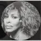 Tina Turner - Queen Of Rock 'N' Roll - 5LP Box
