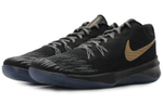 Кроссовки Nike Zoom Evidence Ii